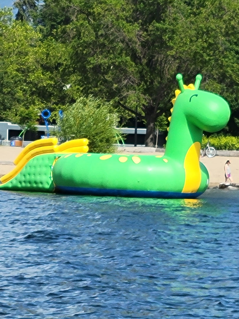 Dragon Water Bouncy